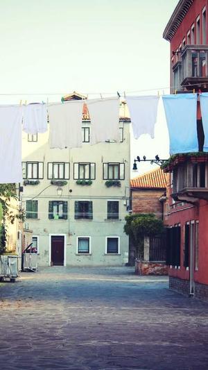 网站收录不好买蜘蛛池截图1