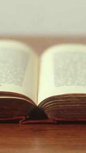 搜狗泛目录截图1