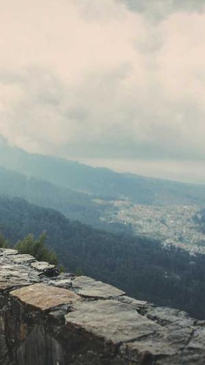 石家庄seo培训截图3