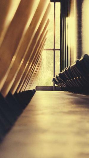 超级蜘蛛池域名是什么截图3