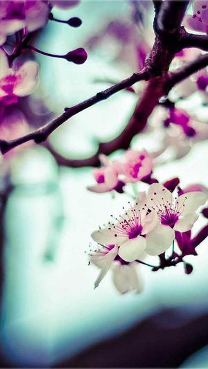 泛目录的趋势截图4