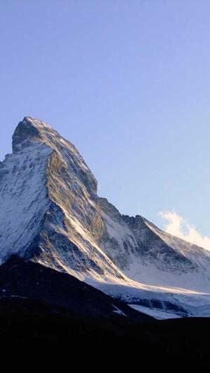 落月蜘蛛池站群系统截图3