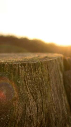 蜘蛛池手工制作教程截图3