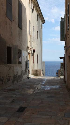 网站建设论坛截图3