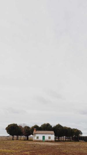 优化seo工具截图4