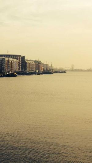 泛目录为什么收录那么多截图1