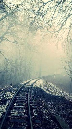 python蜘蛛池截图1