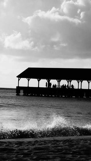 小旋风蜘蛛池使用截图5