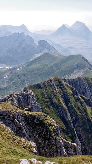 天津搜狗蜘蛛池截图2