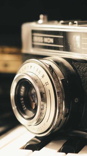 长春seo排名工具截图1