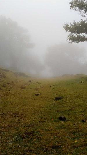 天津seo排名工具截图2