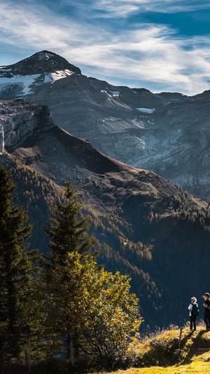 泛目录站群截图4