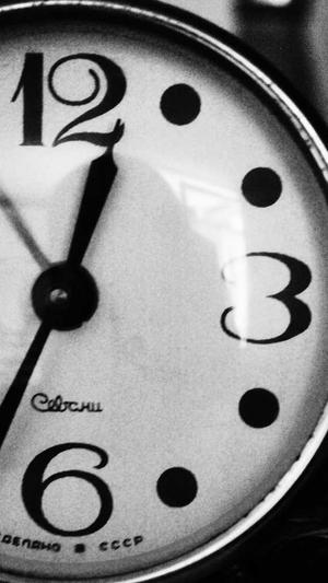 泛目录网站大全截图2