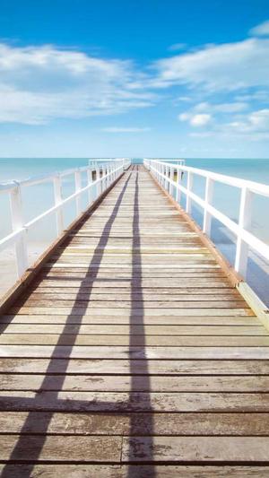 蜘蛛池租用秒收截图1