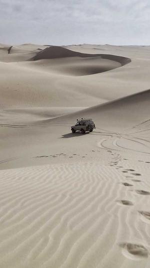 上海网站建设设计公司截图3