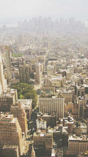 西藏蜘蛛池出租截图5