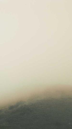 的网站建设截图3