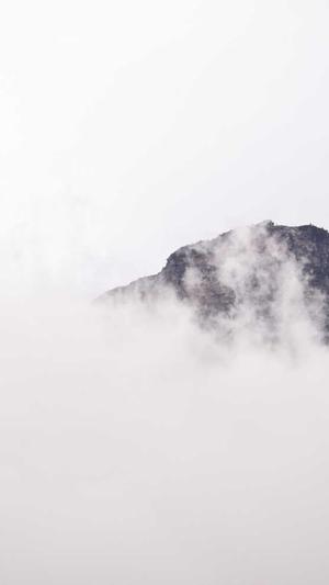 企业内部网站建设截图3