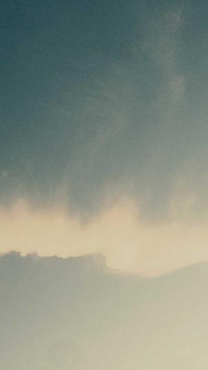 蜘蛛池留痕代发截图2