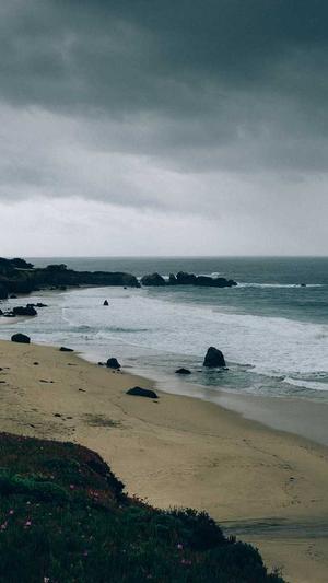 seo优化技术教程泛目录截图2