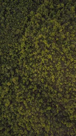 seo自动发布外链工具截图5