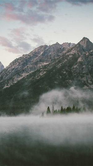 成都公司网站建设截图1