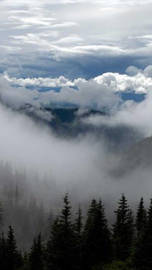 北京石景山网站建设截图2