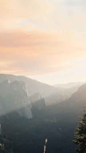 蜘蛛池养殖方法视频截图2