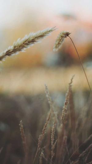 蜘蛛池入门截图1