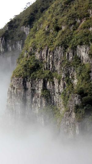 泛目录怎么做seo推广截图3